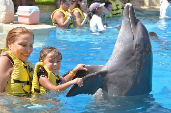 Família juega con un delfin en Cancún