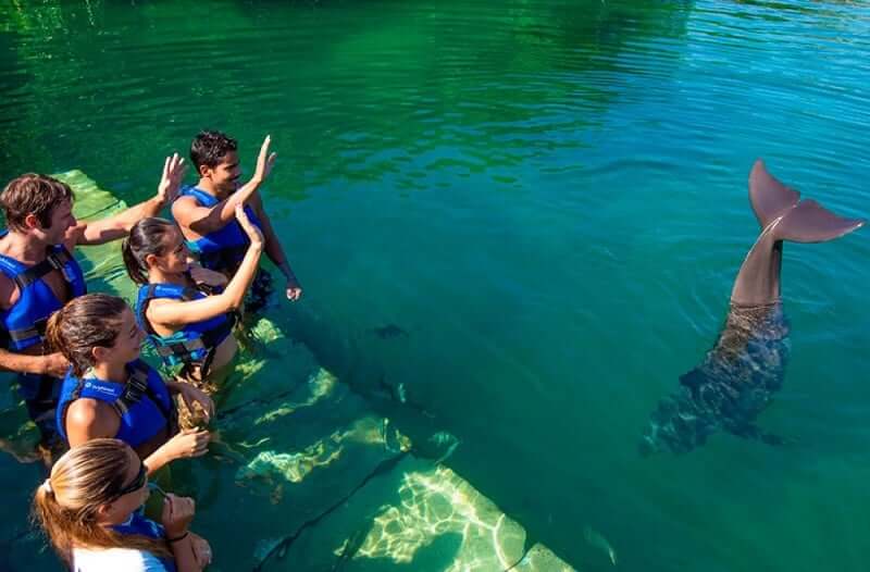 Nadar con los delfines en Delphinus Cancún