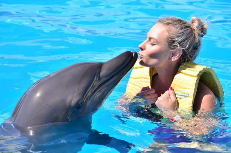 Nada con los delfines en Cancún
