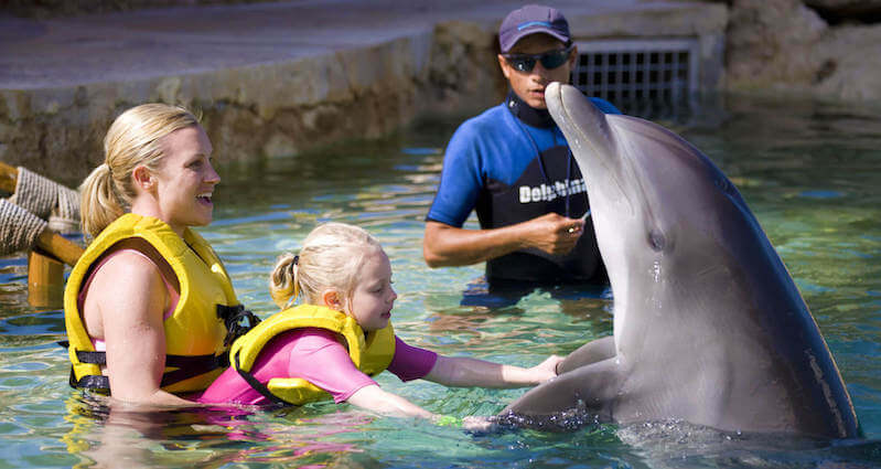 Dolphin Swim & Ride en el Dolphinaris Park