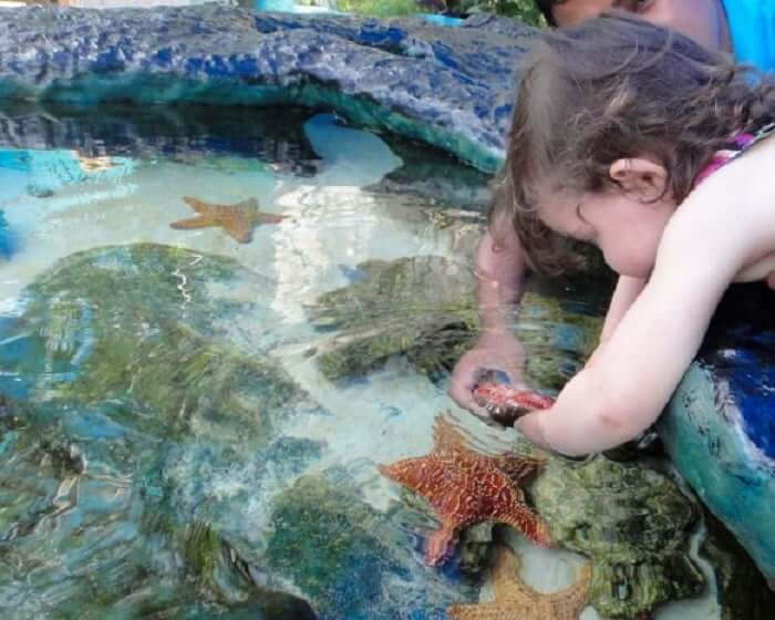 Diversión en el Interactive Aquarium Cancún