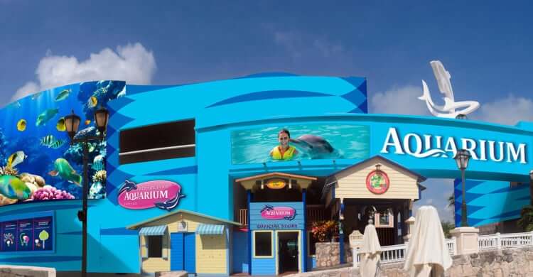 Información sobre el Interactive Aquarium Cancún
