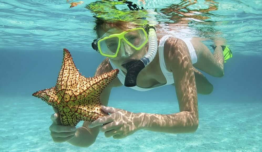 Snorkel en la Isla Contoy en Cancún