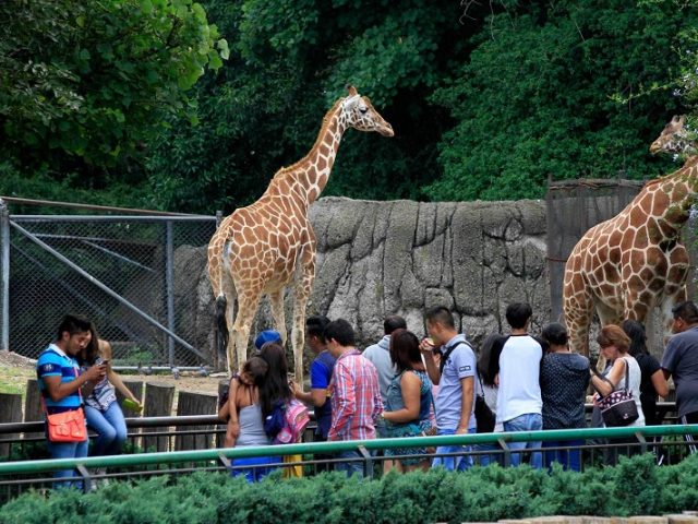 Zoológico de Chapultepec en Ciudad de México